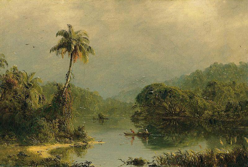  Tropical Landscape